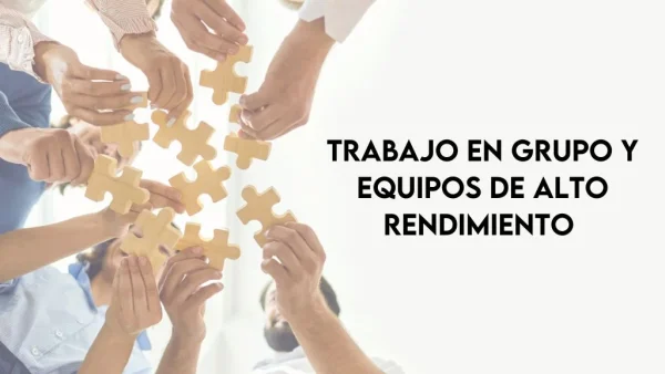 Curso de Trabajo en grupo y equipos de alto rendimiento